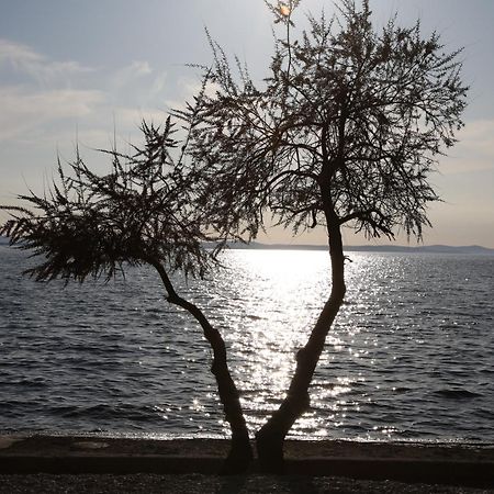 Villa Punta Zadar Dış mekan fotoğraf