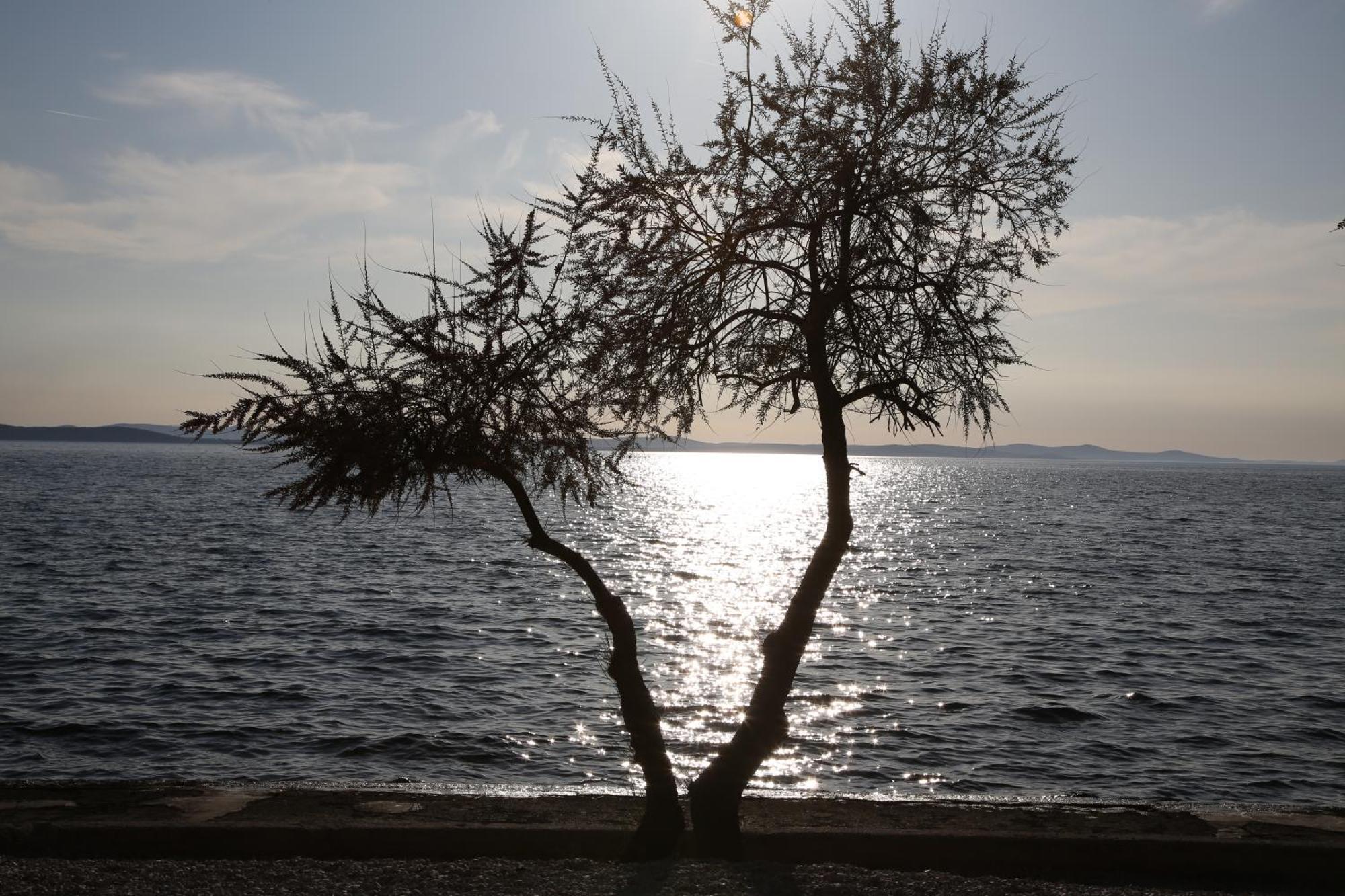 Villa Punta Zadar Dış mekan fotoğraf